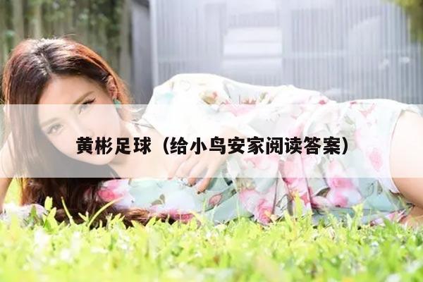 黄彬足球（给小鸟安家阅读答案）