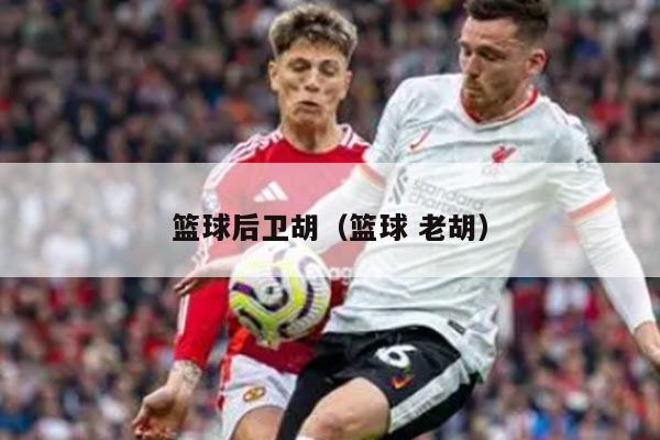 篮球后卫胡（篮球 老胡）