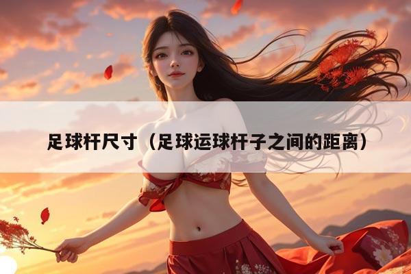 足球杆尺寸（足球运球杆子之间的距离）