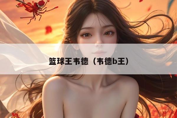 篮球王韦德（韦德b王）