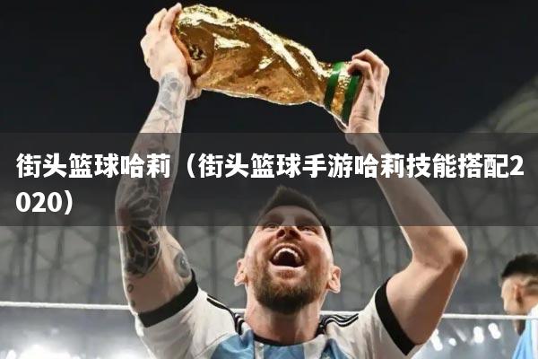 街头篮球哈莉（街头篮球手游哈莉技能搭配2020）