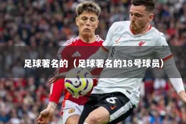 足球著名的（足球著名的18号球员）